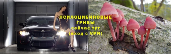 apvp Армянск